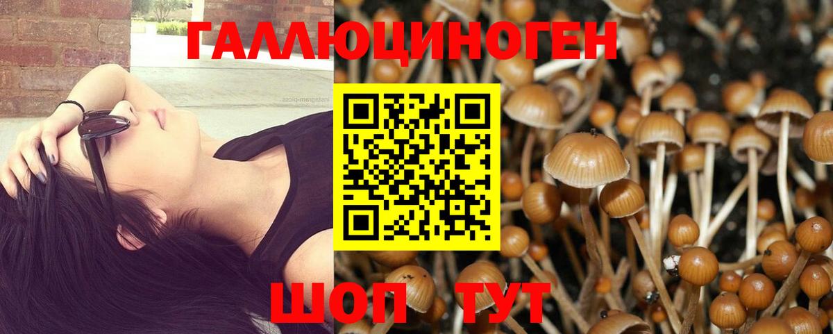 Шатура  Галлюциногенные грибы Psilocybe  Вход с VPN  купить закладку  Псилоцибиновые грибы Magic Shrooms 